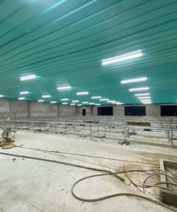 Làm la-phông nhà máy thủy sản